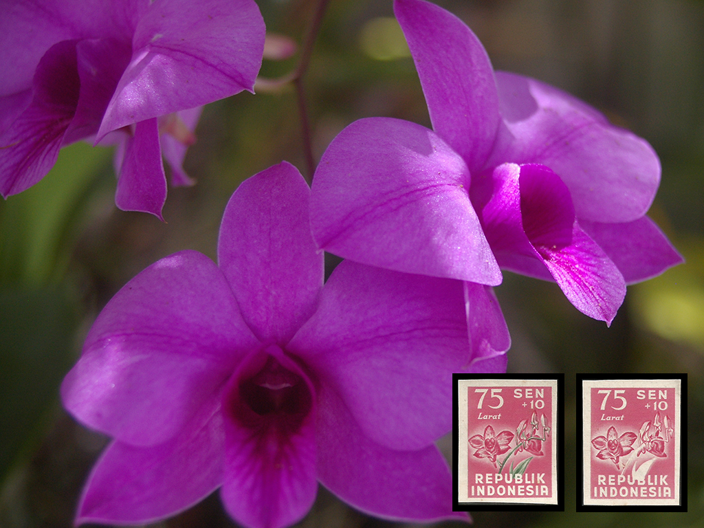Read more about the article Indonesia 1957 Flower